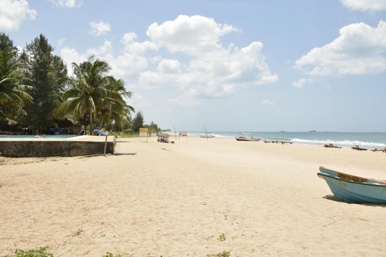 Coral Bay * تريكونامالاي